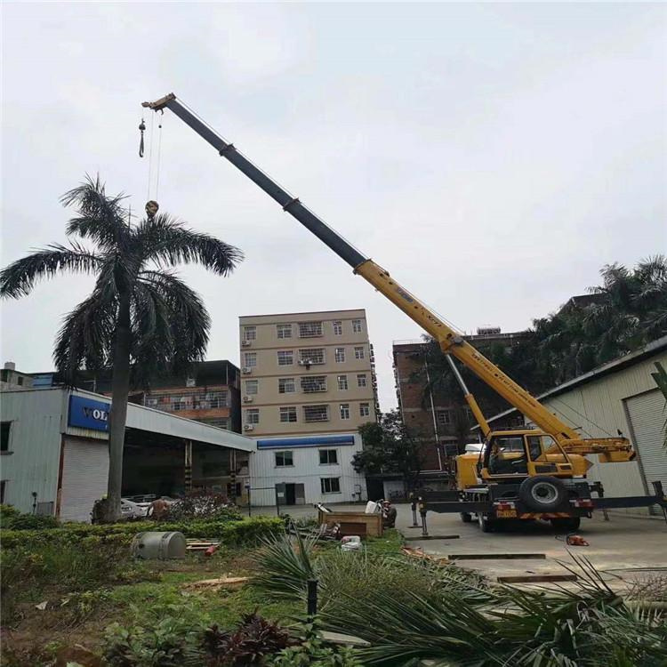 隆林吊车吊大树几种方法